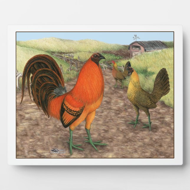 Placa Expositora Aves de Juego en la Granja (Frente)