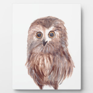 Placa Expositora Aves de Owl