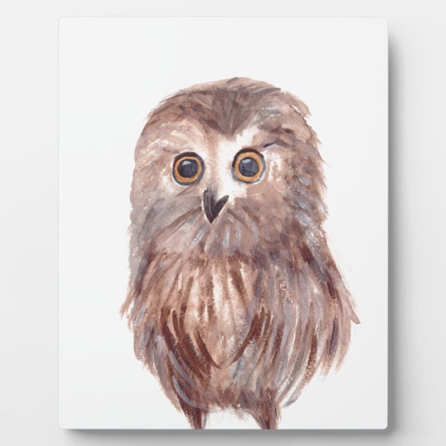 Placa Expositora Aves de Owl (Frente)