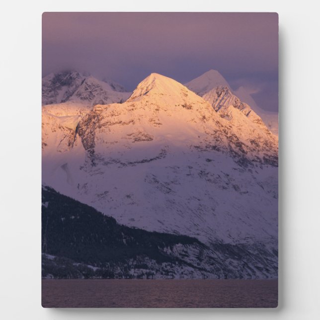 Placa Expositora Awesome Alpenglow (Frente)