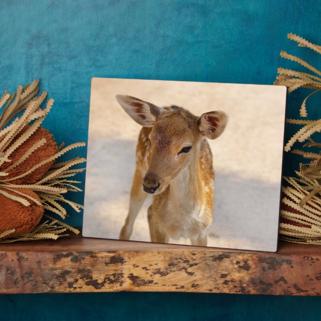 Placa Expositora Baby Deer (Lado)
