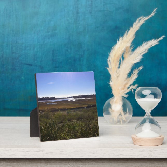 Placa Expositora Back Bay, Newport Beach, California (in situ)