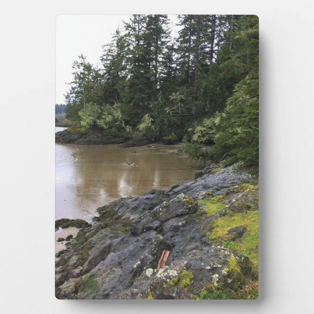 Placa Expositora Bahía Baker, decepción del Cabo, Washington (Frente)