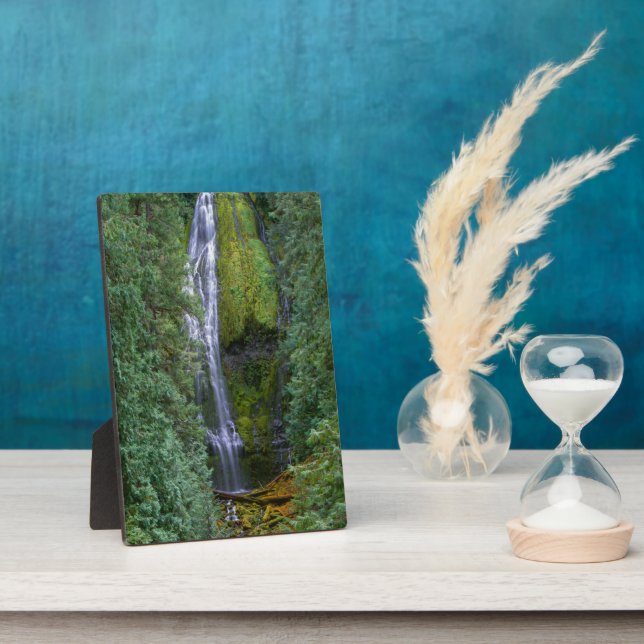 Placa Expositora Baja del proxy | Bosque nacional Willamette (Lado)