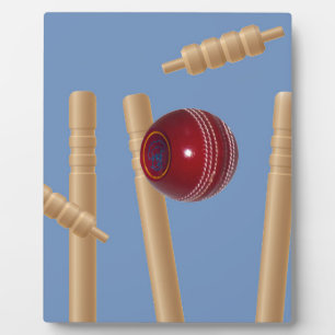 Placa Expositora Balas Y Trozos De Cricket,