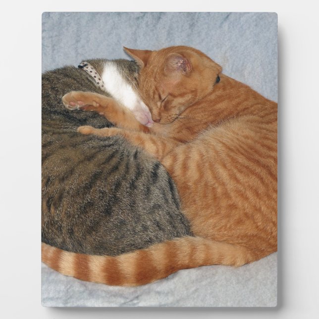 Placa Expositora Ball of Cuteness (Frente)