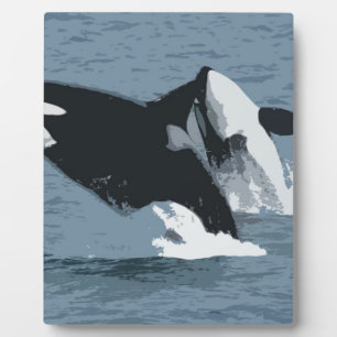 Placa Expositora Ballena de Orka