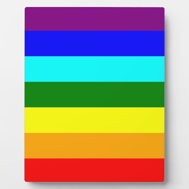 Placa Expositora Bandera arco iris (Frente)