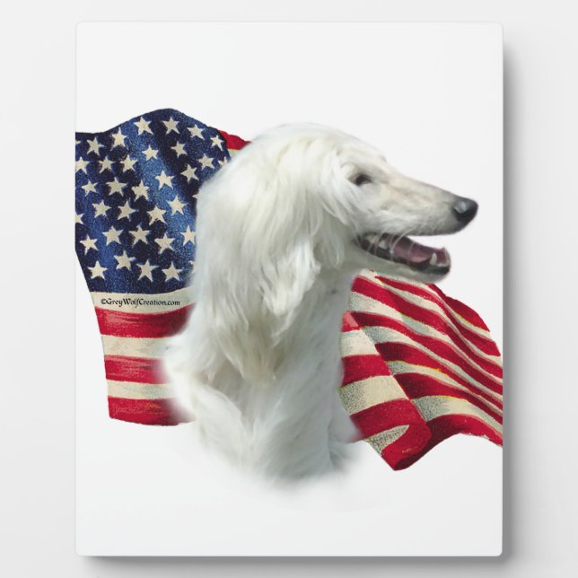 Placa Expositora Bandera de afán (Frente)