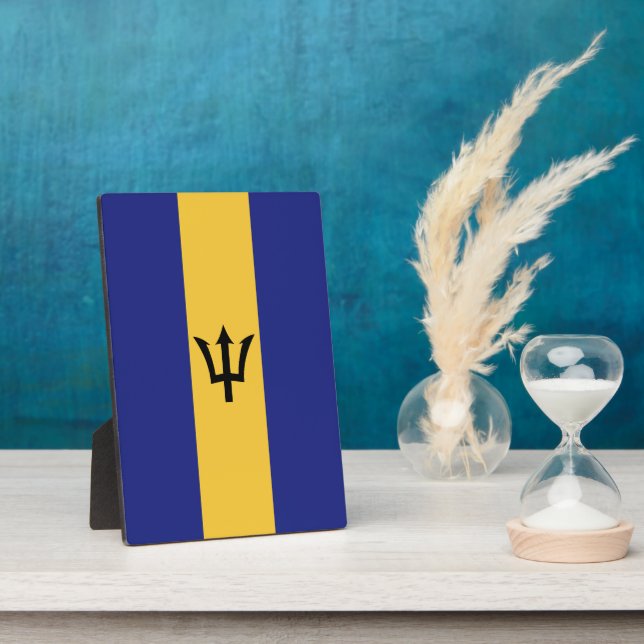 Placa Expositora Bandera de Barbados (Lado)