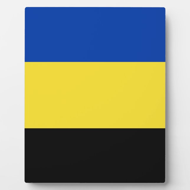 Placa Expositora Bandera de Gelderland (Frente)