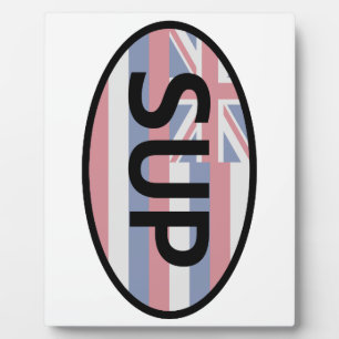 Placa Expositora Bandera de Hawaii Standup Paddling