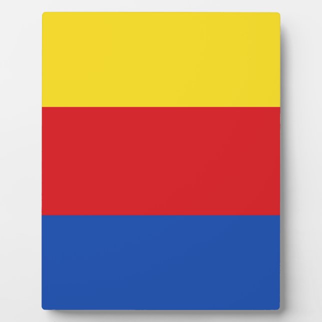 Placa Expositora Bandera de Holanda del Norte (Frente)