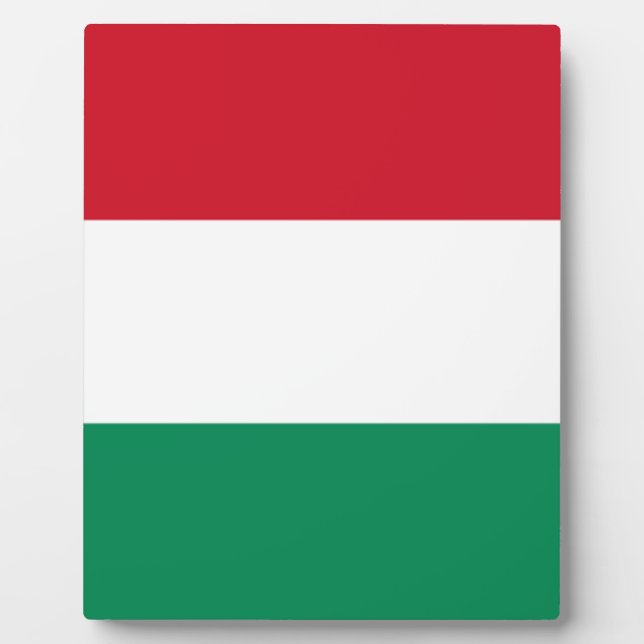 Placa Expositora Bandera de Hungría (Frente)