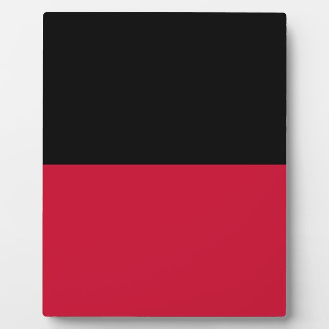 Placa Expositora Bandera de Nijmegen (Frente)