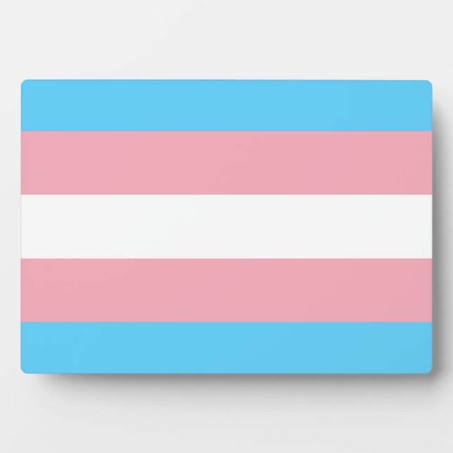 Placa Expositora Bandera de orgullo transgénero (Frente)