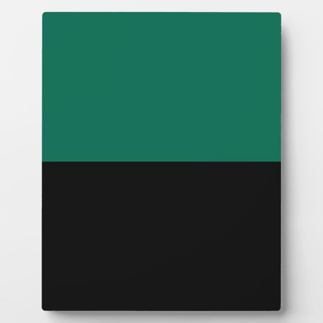 Placa Expositora Bandera de Texel (Frente)
