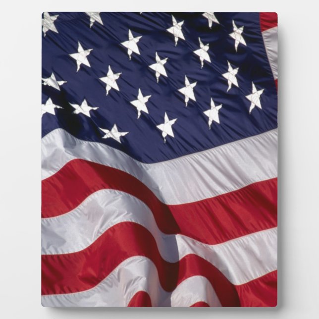 Placa Expositora Bandera estadounidense (Frente)