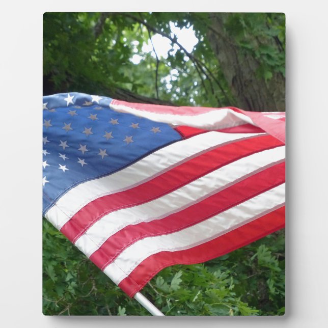 Placa Expositora Bandera estadounidense (Frente)
