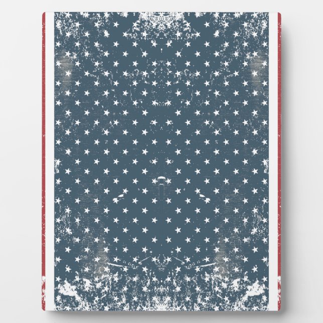 Placa Expositora bandera vertical americana (Frente)