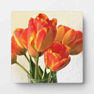 Placa Expositora Banja Luka Tulips