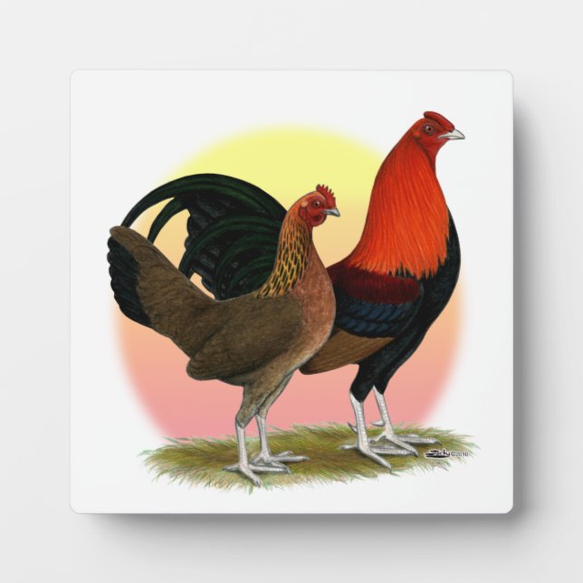 Placa Expositora Bantam, juego inglés antiguo: Rojo BB (Frente)