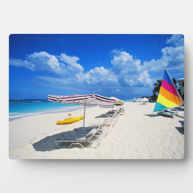 Placa Expositora Barcos Y Tumbonas (Frente)