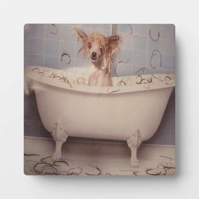 PLACA EXPOSITORA BATHING PUPPY (Frente)