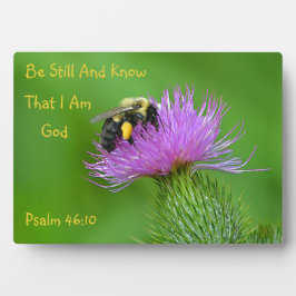 Placa Expositora Be Still Bumblebee
