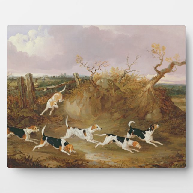 Placa Expositora Beagles in Full Cry, 1845 (aceite sobre lienzo) (Frente)