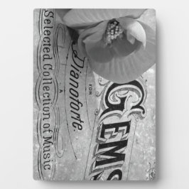 Placa Expositora Begonia Gems Pianoforte