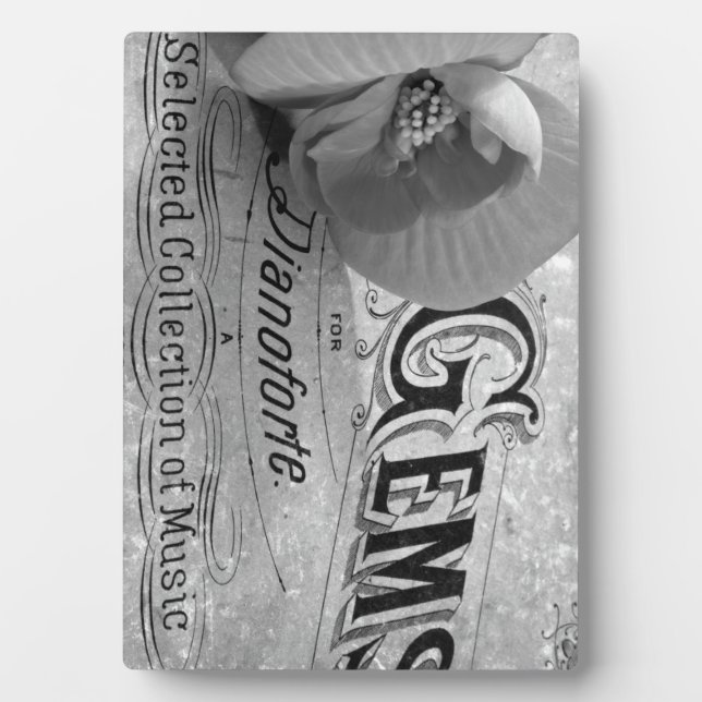 Placa Expositora Begonia Gems Pianoforte (Frente)