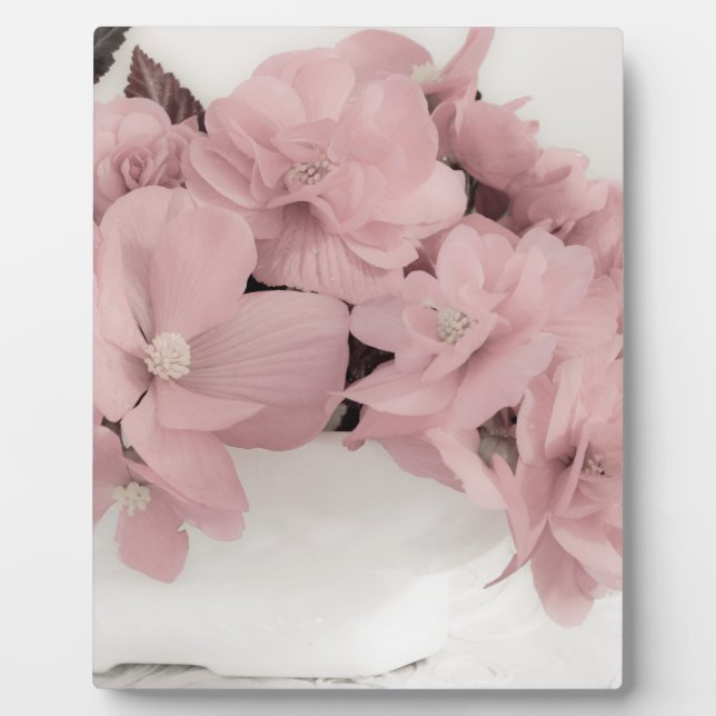 Placa Expositora Begonias rosadas (Frente)