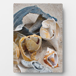 Placa Expositora Bellezas de playa rotas