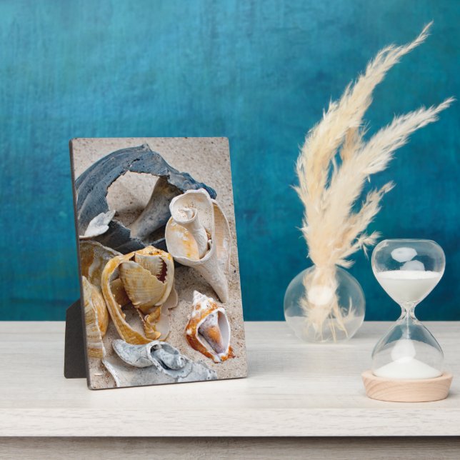 Placa Expositora Bellezas de playa rotas (Lado)