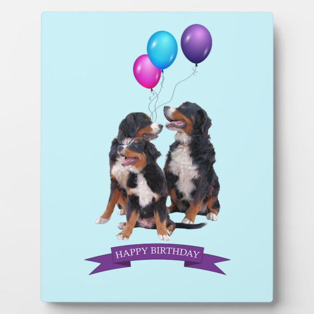 Placa Expositora Bernese Mountain Dogs Feliz cumpleaños (Frente)