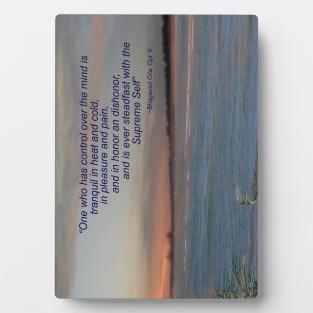 Placa Expositora Bhagavad Gita Cita Plaque, "Quien tiene el control (Frente)