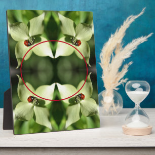 Placa Expositora Bicho De Ladybug En La Flor De Dogwood Añade Su Fo