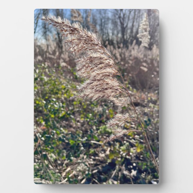 Placa Expositora Bienvenida de otoño. (Frente)