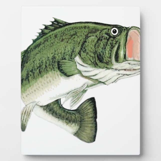Placa Expositora Big Mouth Bass (Frente)