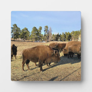 Placa Expositora Bison de Colorado