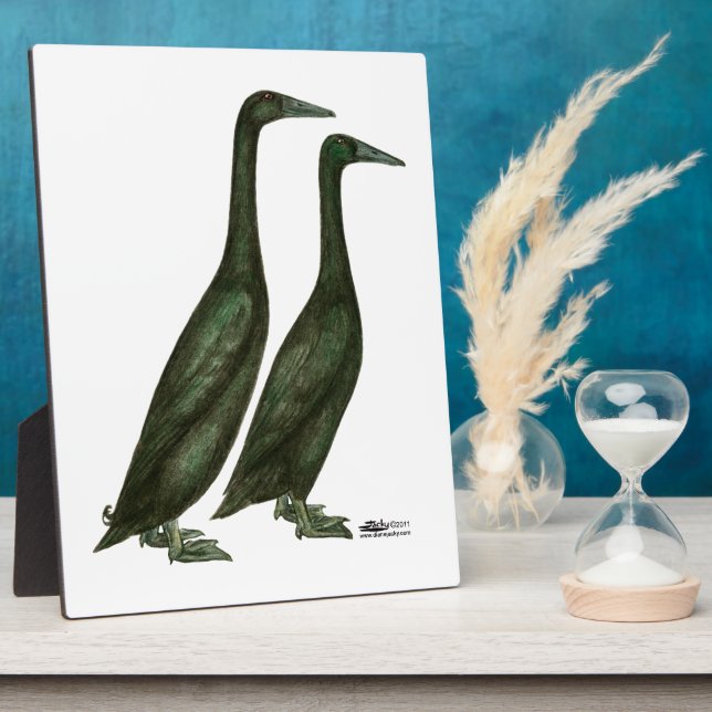 Placa Expositora Black Runner Ducks (Lado)