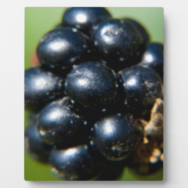 Placa Expositora Blackberries