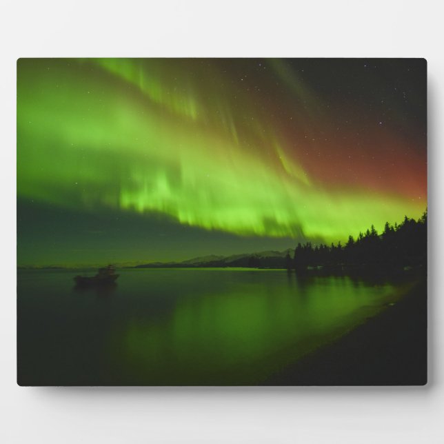 Placa Expositora Blazing Aurora (Frente)