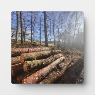 Placa Expositora Blogs rurales...