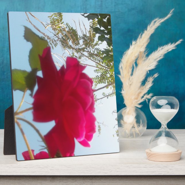 Placa Expositora Bloom celestial: Un Rosa contra el cielo (Lado)