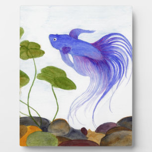 Placa Expositora Blue Betta Fish