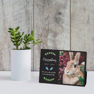 Placa Expositora Blue Bunny Paws Green Photo Rabbit Memorial