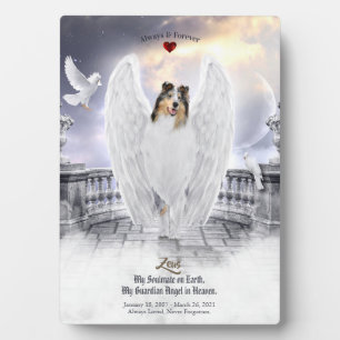 Placa Expositora Blue Merle Collie Angel en el cielo - Mascota conm