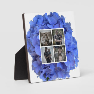 Placa Expositora Blue periwinkle elegantes hortensias florales